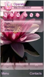 Тема Wonderful Flower для Nokia 5230