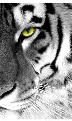 скачать Обои v2 для Nokia 5230