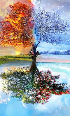 скачать Обои разные для Nokia 5230