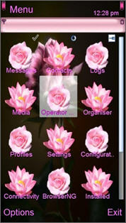 Тема Wonderful Flower для Nokia 5230